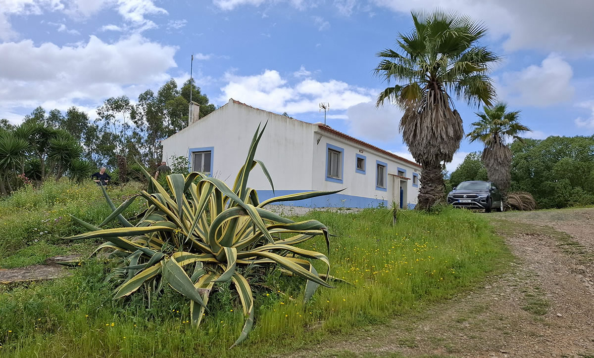 Monte Horizonte - Casa Passaro en casa Borboleta